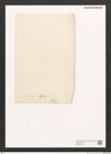 Diatomeae indet. Zeichnungen Sammlung Grunow (NHMW-BOT-W0370748)